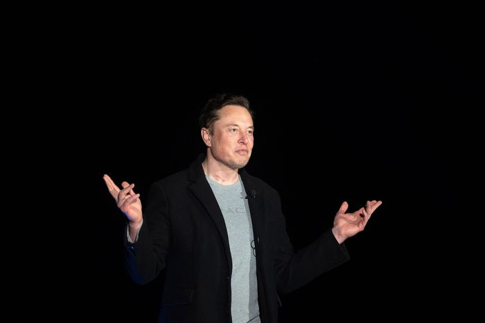 Elon Musk Just Bought a Big Stake in Twitter Stock