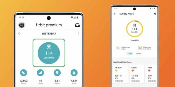 Fitbit-app-Active-Zone