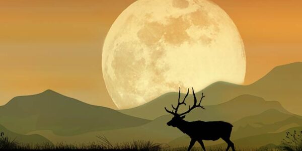 full moon october 2022